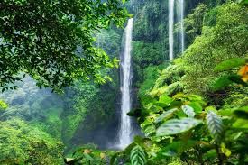 Hikers carefully navigating mossy stone steps toward hidden jungle waterfall